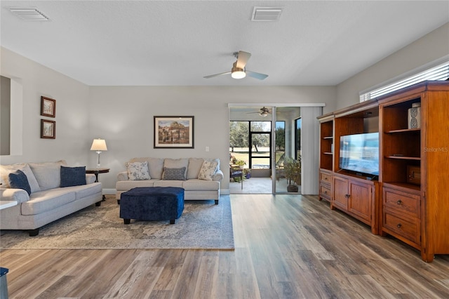 living room with hardwood / wood-style floors and a textured ceiling