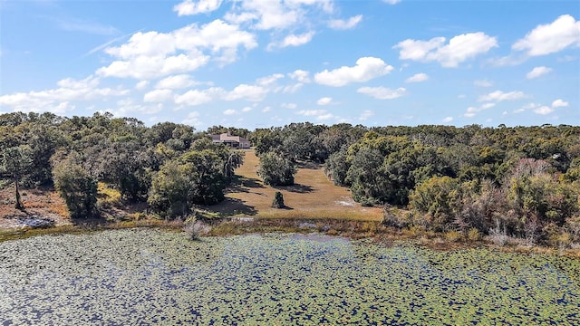 view of nature