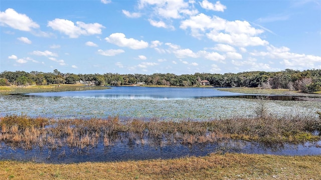 property view of water