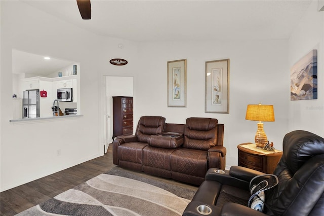 living room with vaulted ceiling and dark hardwood / wood-style floors