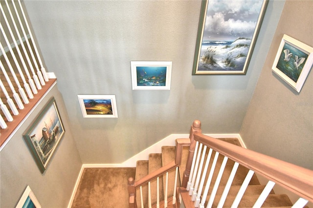 stairway featuring carpet flooring