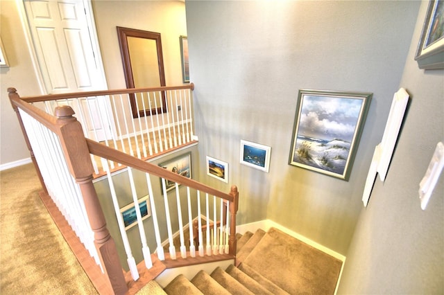 stairs featuring carpet flooring