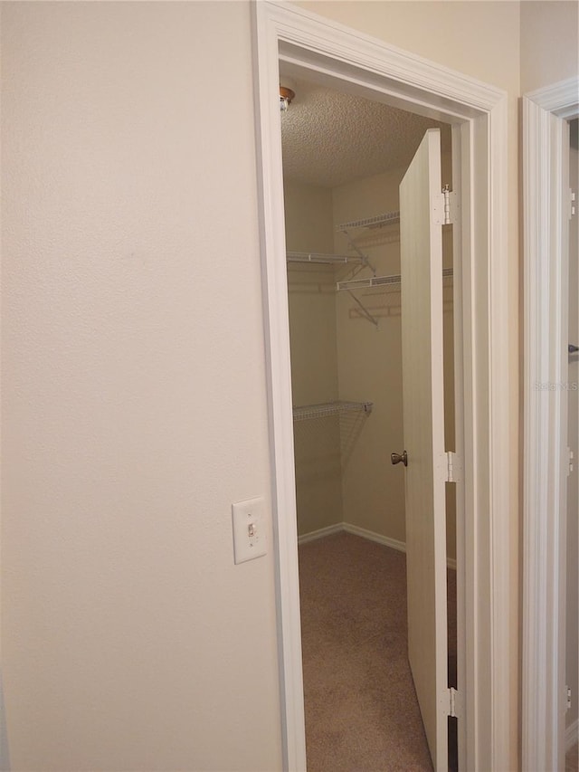 spacious closet featuring carpet floors