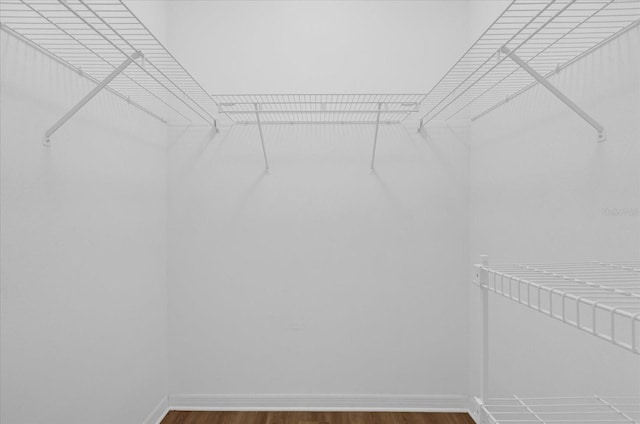 spacious closet featuring hardwood / wood-style floors