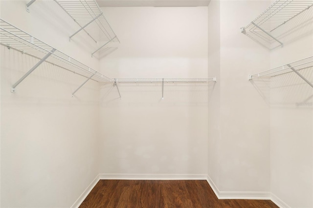 spacious closet featuring dark wood-type flooring