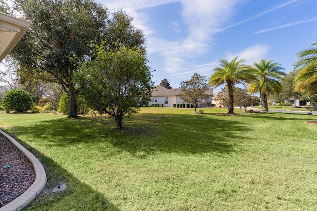 13914 SE 96th Cir, Summerfield, FL 34491 - view of yard