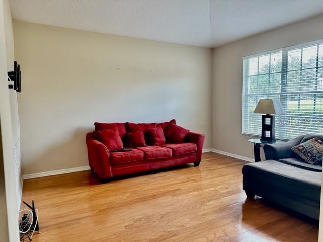 living room with hardwood / wood-style floors