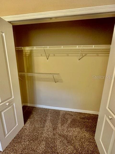 view of closet