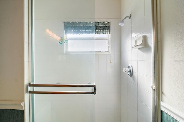 bathroom featuring a shower with shower door