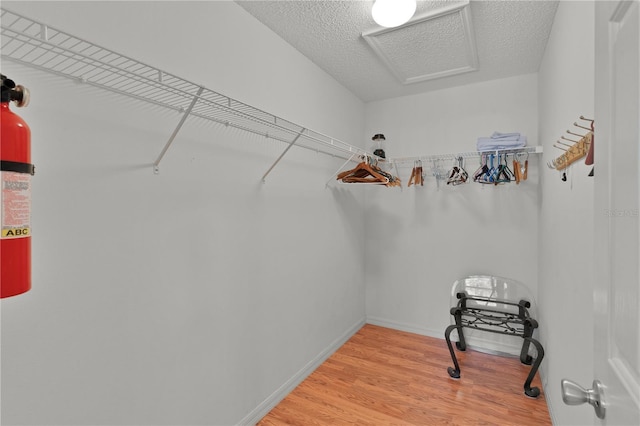 spacious closet with wood-type flooring