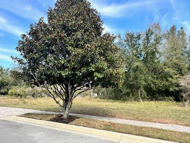 16934 Vinci Way, Bella Collina FL, 34756 land for sale