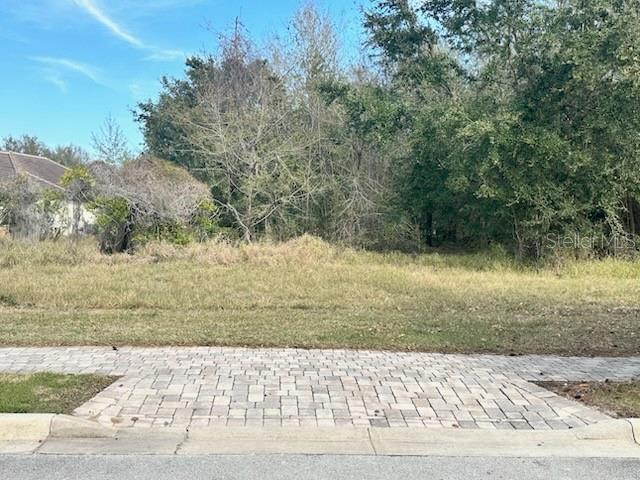 16934 Vinci Way, Bella Collina, FL 34756 - photo 2
