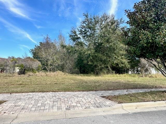 16934 Vinci Way, Bella Collina, FL 34756 - photo 3