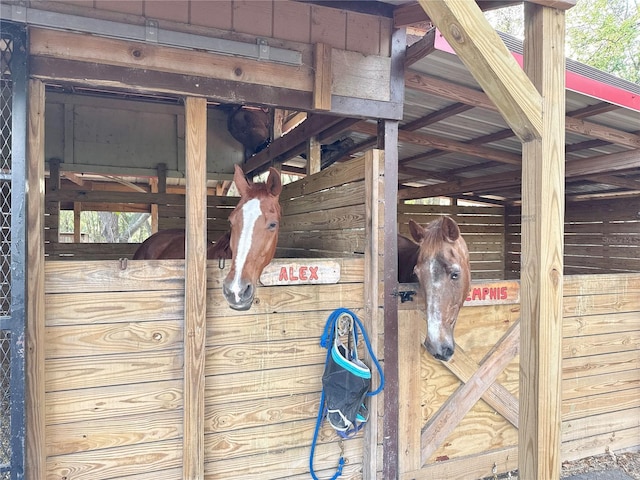 view of horse barn