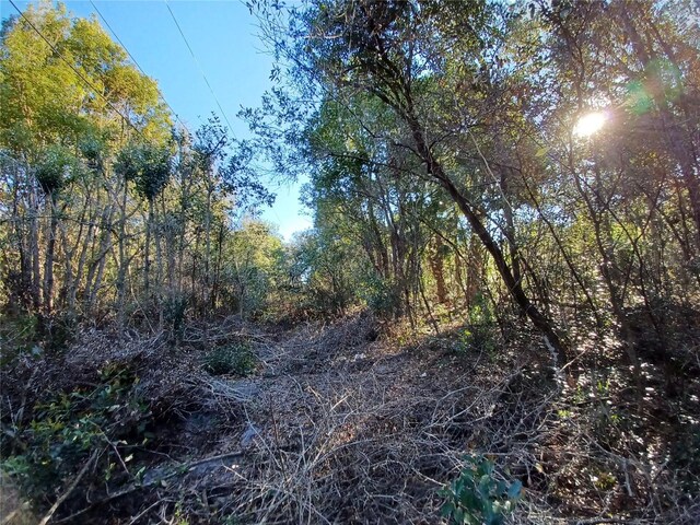 524 S US Highway 27 441 Unit 441, Lady Lake, FL 32159 - photo 6