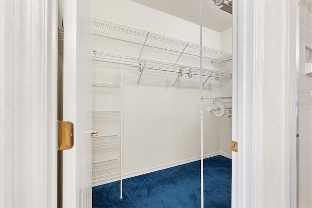 spacious closet with carpet