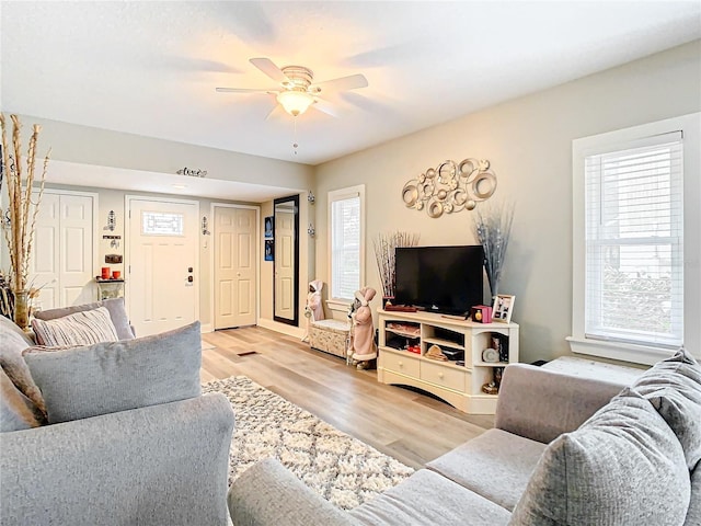 living room with ceiling fan and light wood-type flooring