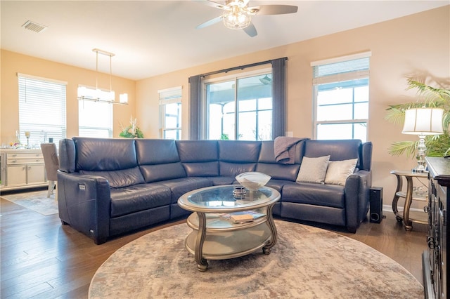 living room featuring ceiling fan and dark hardwood / wood-style flooring