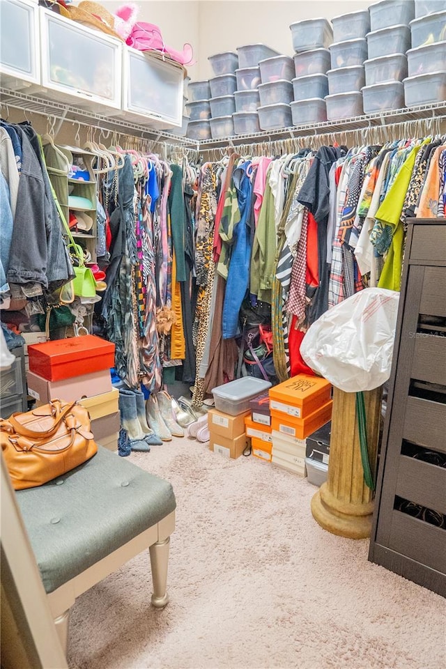 spacious closet featuring carpet flooring