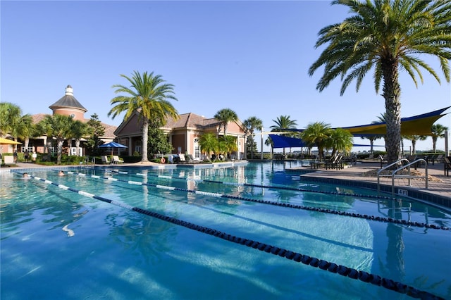 view of swimming pool with a patio