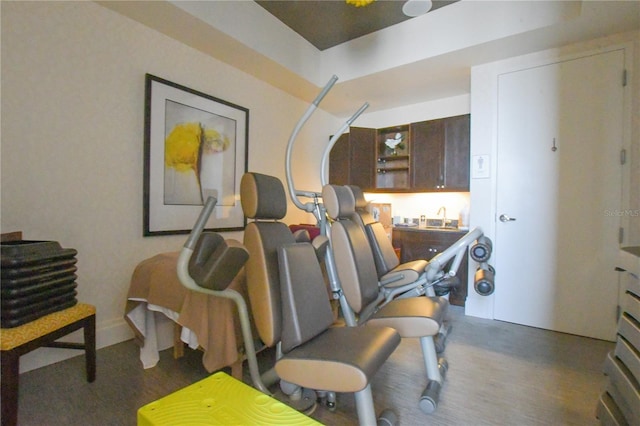 exercise room featuring dark hardwood / wood-style floors