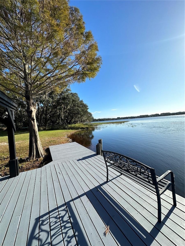 dock area with a water view