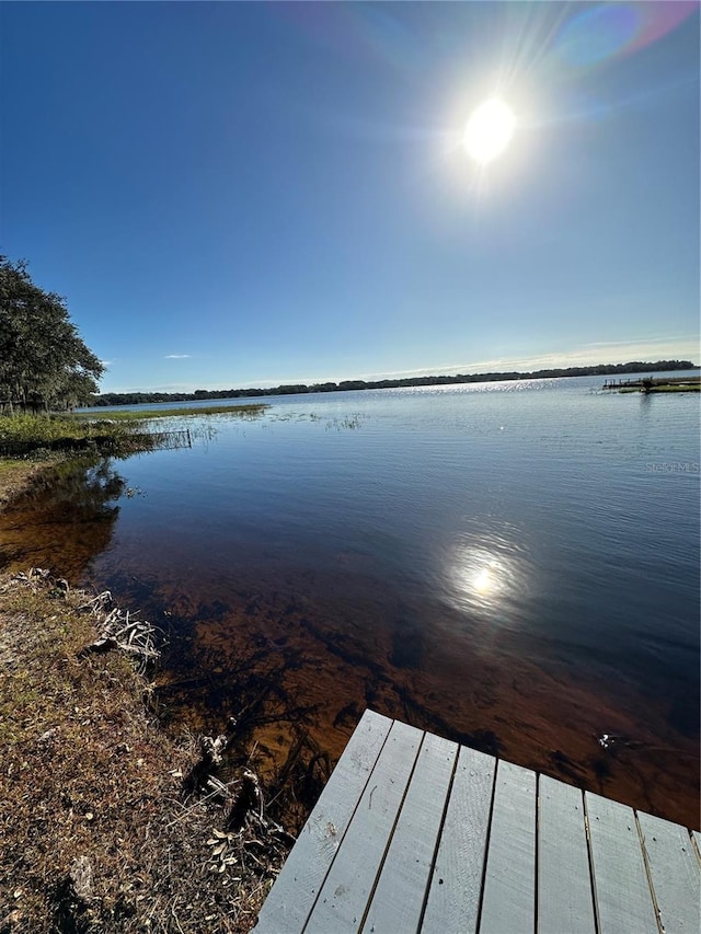 dock area with a water view