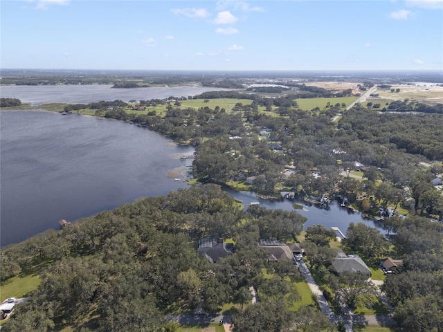 5910 Lake Emma Ct, Groveland, FL 34736 - photo 53