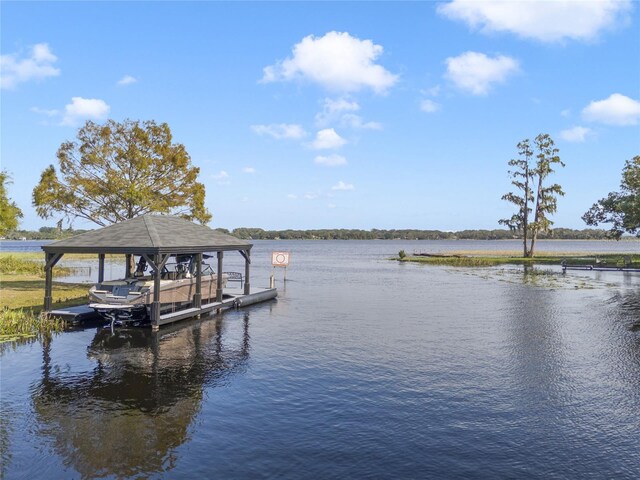 5910 Lake Emma Ct, Groveland, FL 34736 - photo 60