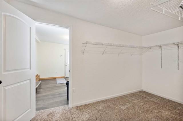 walk in closet featuring carpet flooring