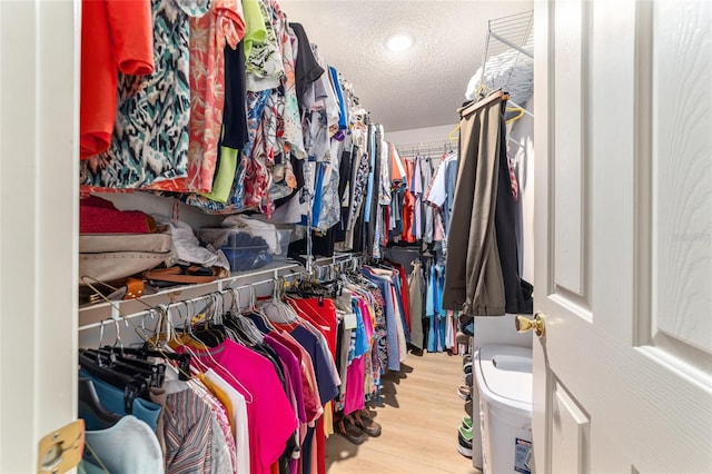 spacious closet featuring wood-type flooring
