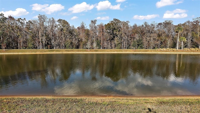 view of water feature