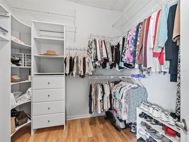 spacious closet featuring light wood-type flooring