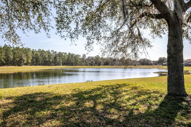 property view of water