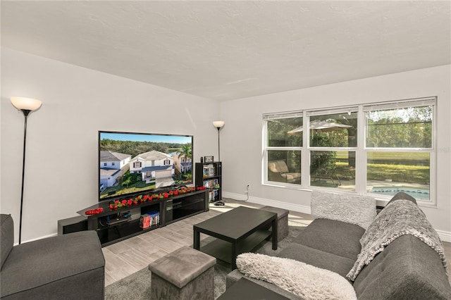 living room with light hardwood / wood-style floors