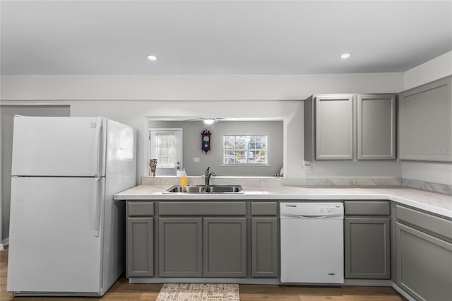 kitchen featuring sink, gray cabinetry, white appliances, light hardwood / wood-style flooring, and ceiling fan