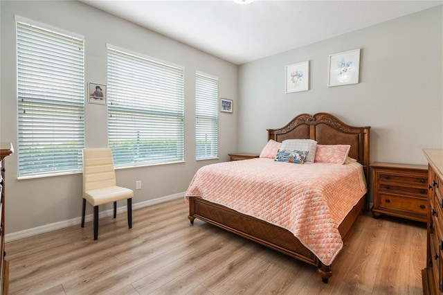 17523 Promenade Dr, Clermont, FL 34711 - bedroom featuring light hardwood / wood-style floors