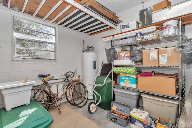 storage room featuring water heater