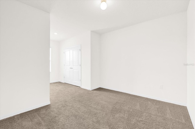 spare room with carpet