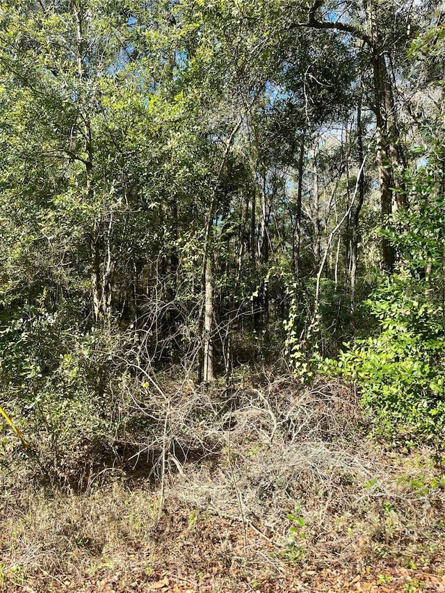 TBD NW 65th Ct, Ocala FL, 34482 land for sale