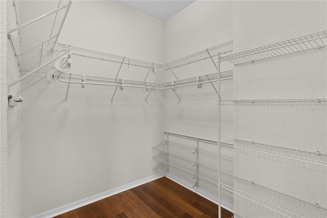 walk in closet featuring dark hardwood / wood-style flooring