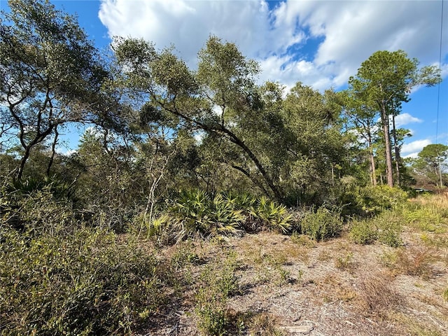 Listing photo 3 for LOT15 Royal Trails Rd, Eustis FL 32736