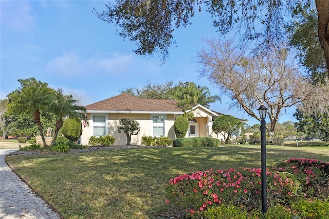 ranch-style house featuring a front yard