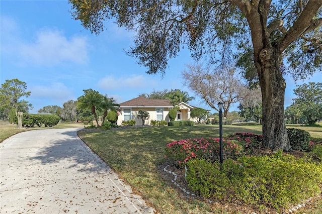 ranch-style home featuring a front yard