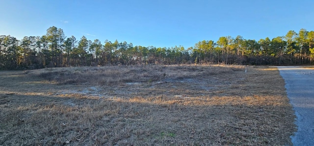 SW 136th St, Ocala FL, 34473 land for sale