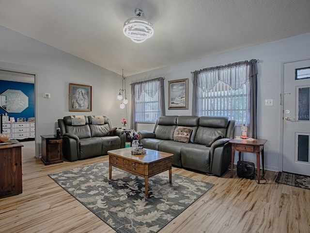 11915 Crk 680, Webster, FL 33597 - living room featuring lofted ceiling and light wood-type flooring