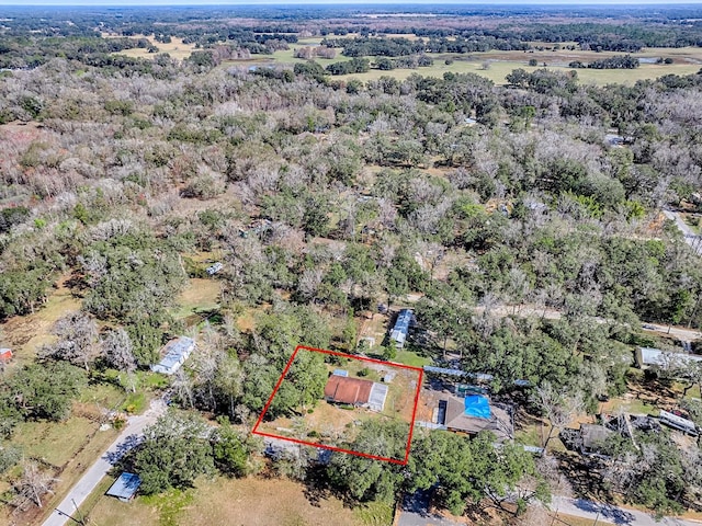 11915 Crk 680, Webster, FL 33597 - bird's eye view