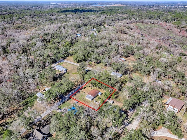 11915 Crk 680, Webster, FL 33597 - drone / aerial view