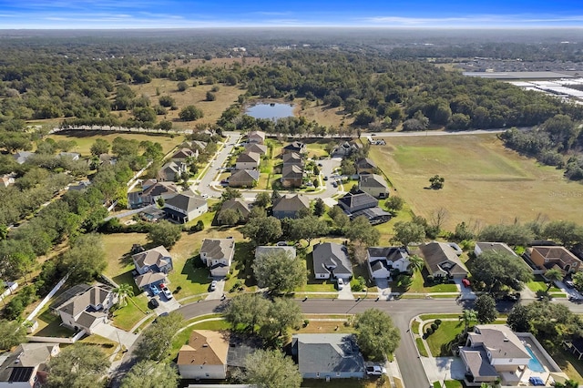 887 Daisy Hill Ct, Apopka, FL 32712 - aerial view