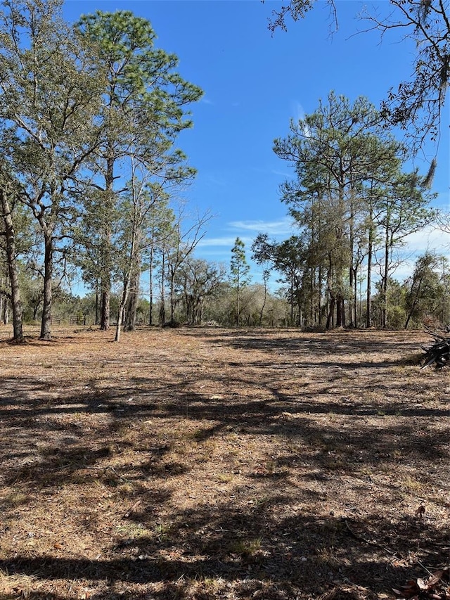 00 NE 6th St, Williston FL, 32696 land for sale